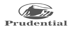 Logo-prudential-do-brasil (1)